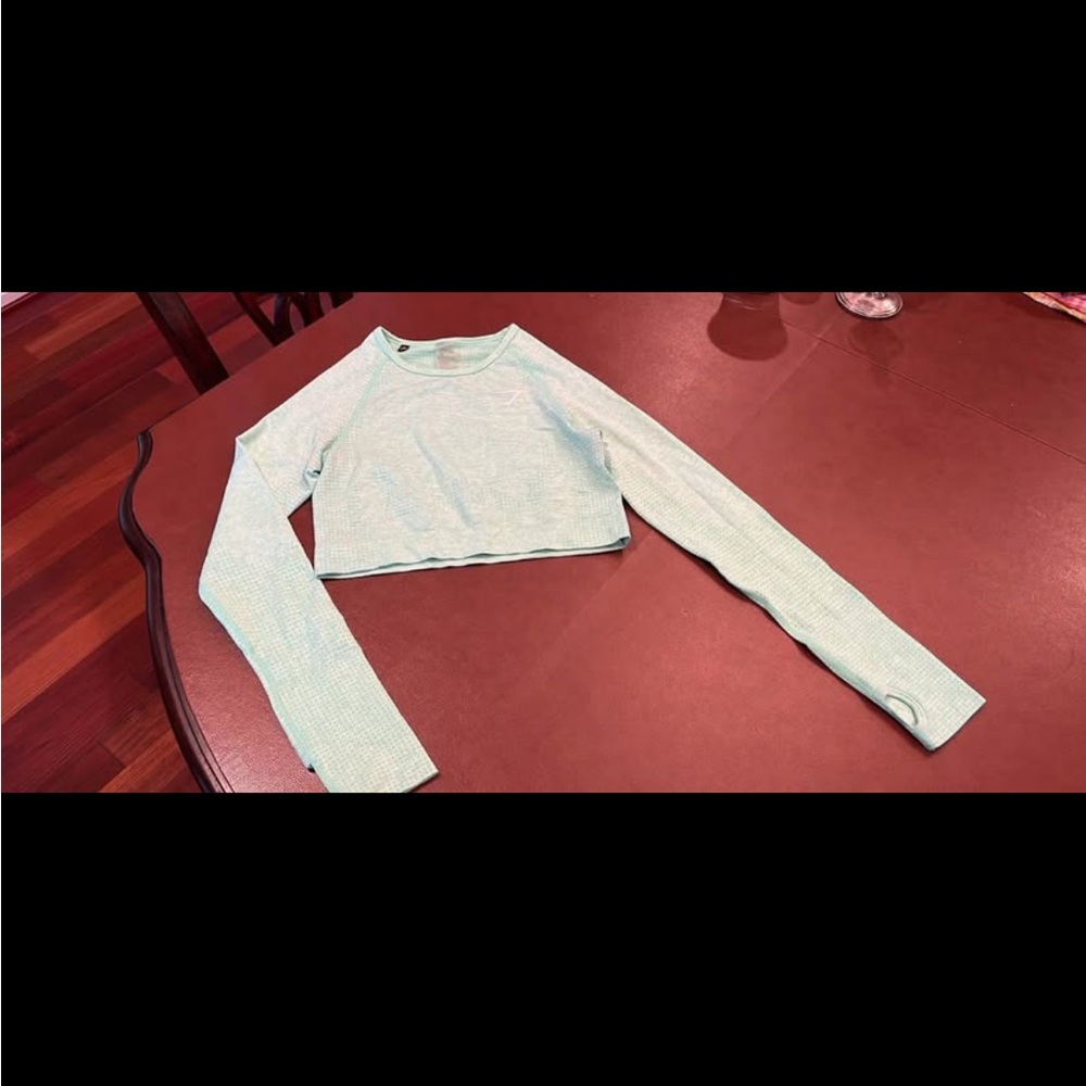 Gymshark Mint Long Sleeve Crop Top